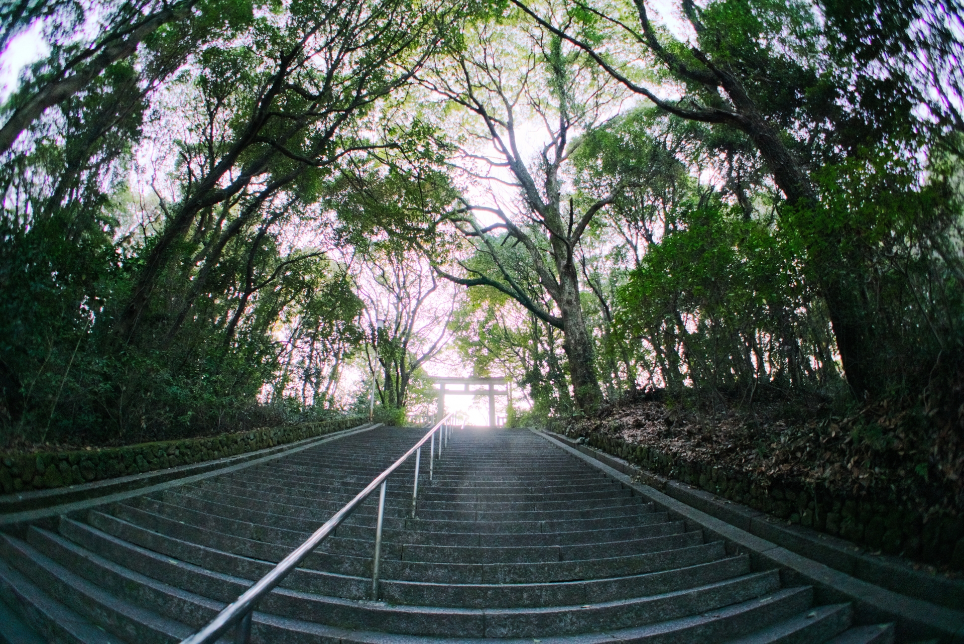 大分縣護國神社（おおいたけんごこくじんじゃ）ってどんな神社なの？ご利益やおすすめスポットを大紹介