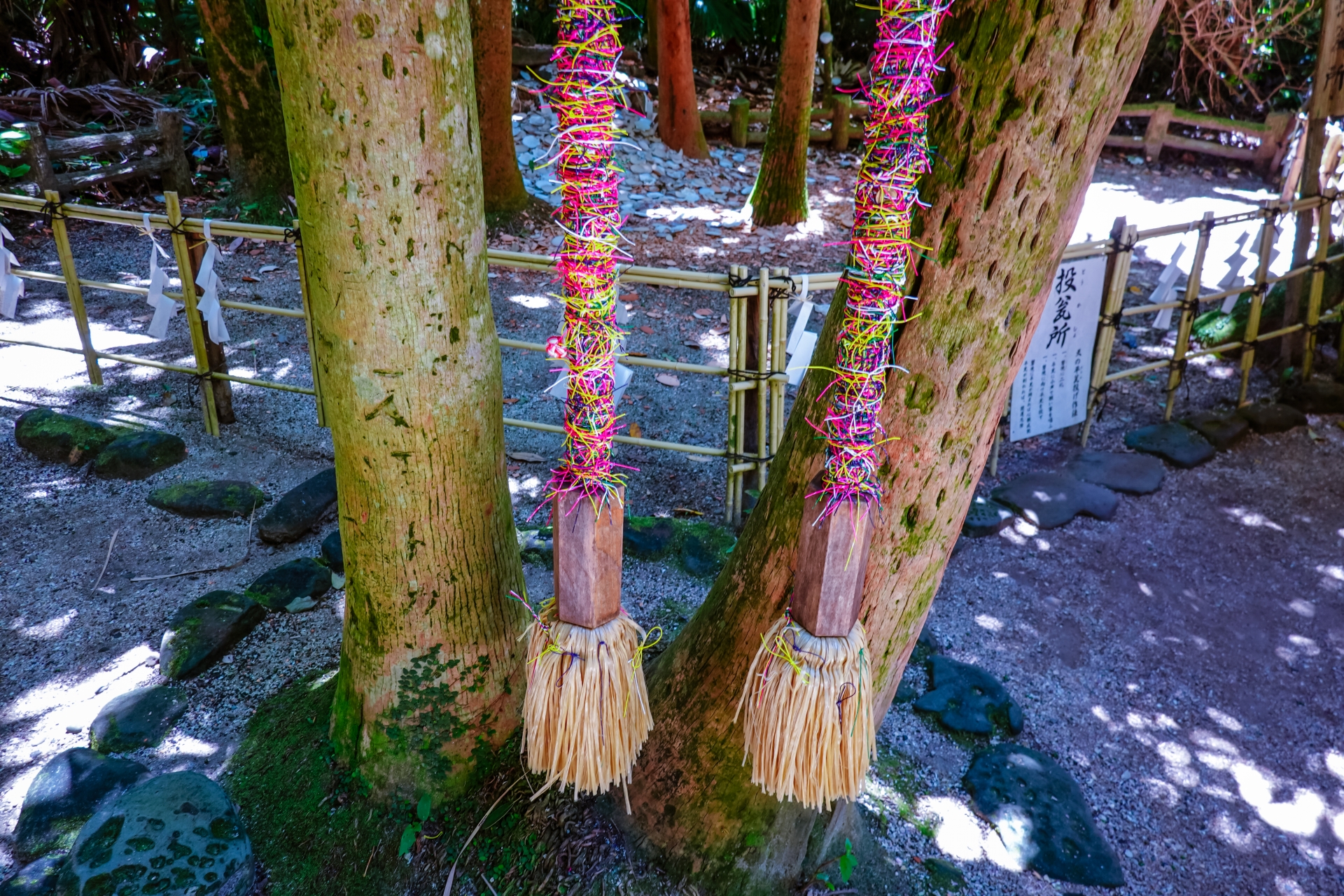 宮崎県で恋愛運アップ・縁結びにご利益のある神社5選！恋愛成就・復縁・出会いなど叶えたい方必見♪最強おすすめ・人気・評判の強力パワースポット！