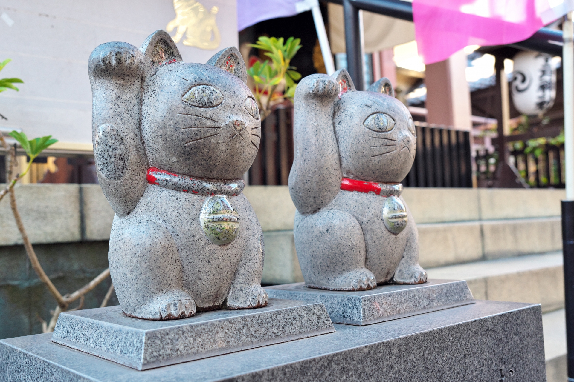 今戸神社は縁結びできる招き猫がいる神社？ご利益・お守り・御朱印・アクセスのほか神社猫ナミちゃんについてもご紹介します！