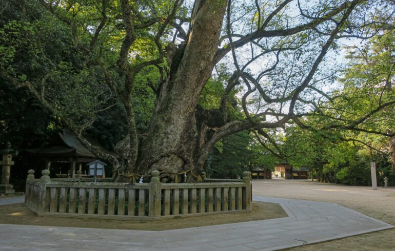 愛媛県金運神社！最強おすすめ・人気・評判の財運上昇アップの強力パワースポット！宝くじ当選・事業成功・借金返済・玉の輿のご利益