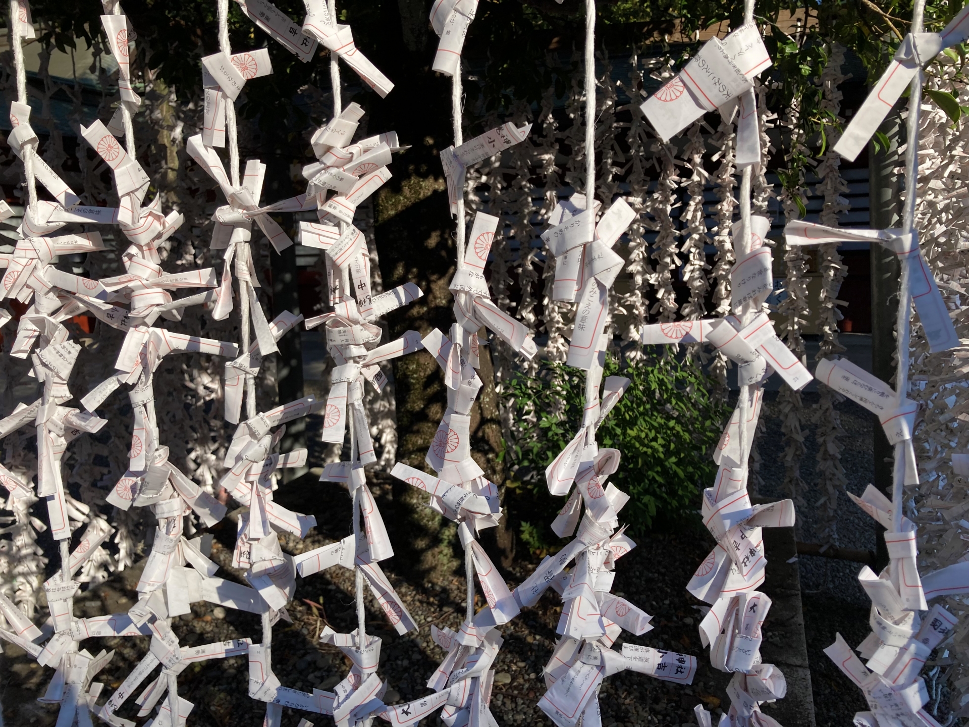 東京府中・大國魂神社は厄払い・縁結び・安産祈願におすすめ！ご利益・神様・御朱印・お守り情報をお伝えします