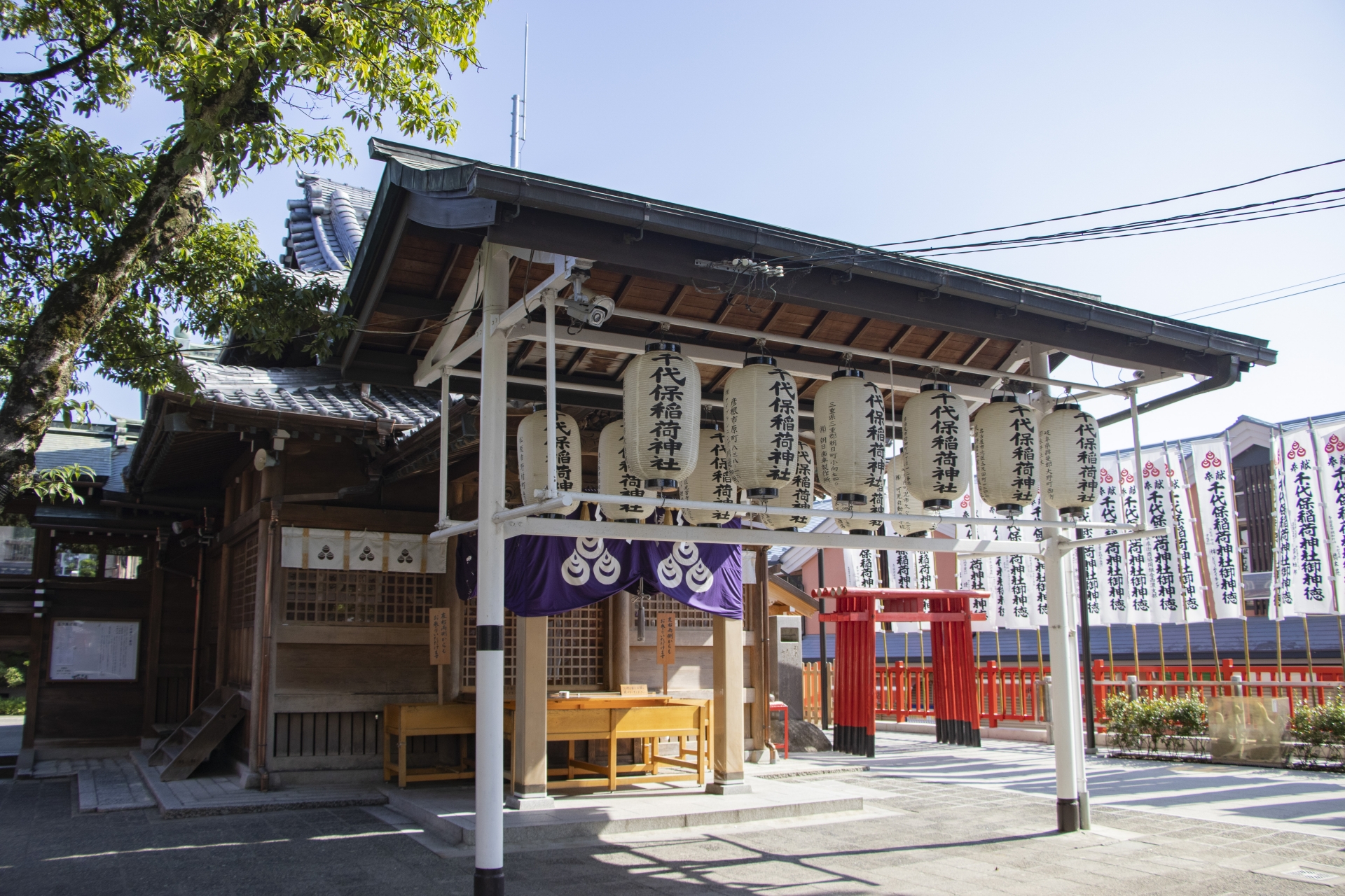 岐阜県金運アップ神社！最強おすすめ・人気・評判の財運上昇の強力パワースポット！宝くじ当選・事業成功・借金返済・玉の輿・商売繁盛のご利益