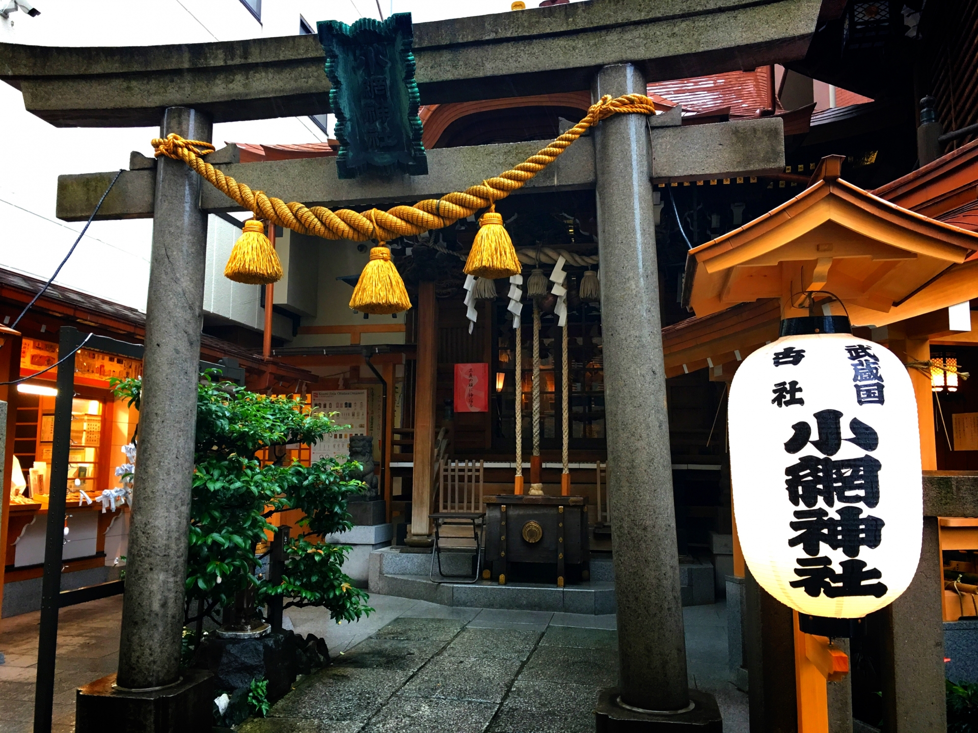 東京都金運アップ神社！最強おすすめ・人気・評判の財運上昇の強力パワースポット！宝くじ当選・事業成功・借金返済・玉の輿・商売繁盛のご利益