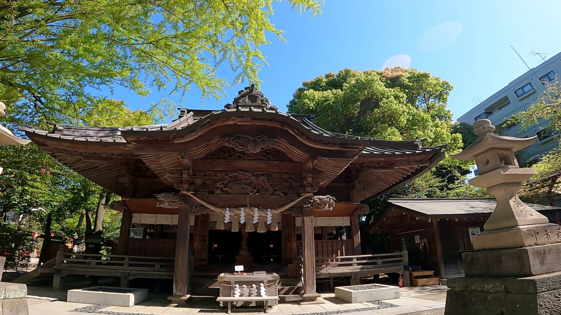 パワーが凄すぎると話題の田無神社とは？神社のパワースポットや五龍神のご利益を公開！