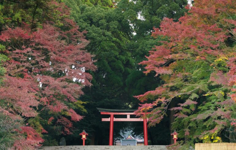 鹿児島県金運アップ神社！最強おすすめ・人気・評判の財運上昇の強力パワースポット！宝くじ当選・事業成功・借金返済・玉の輿・商売繁盛のご利益