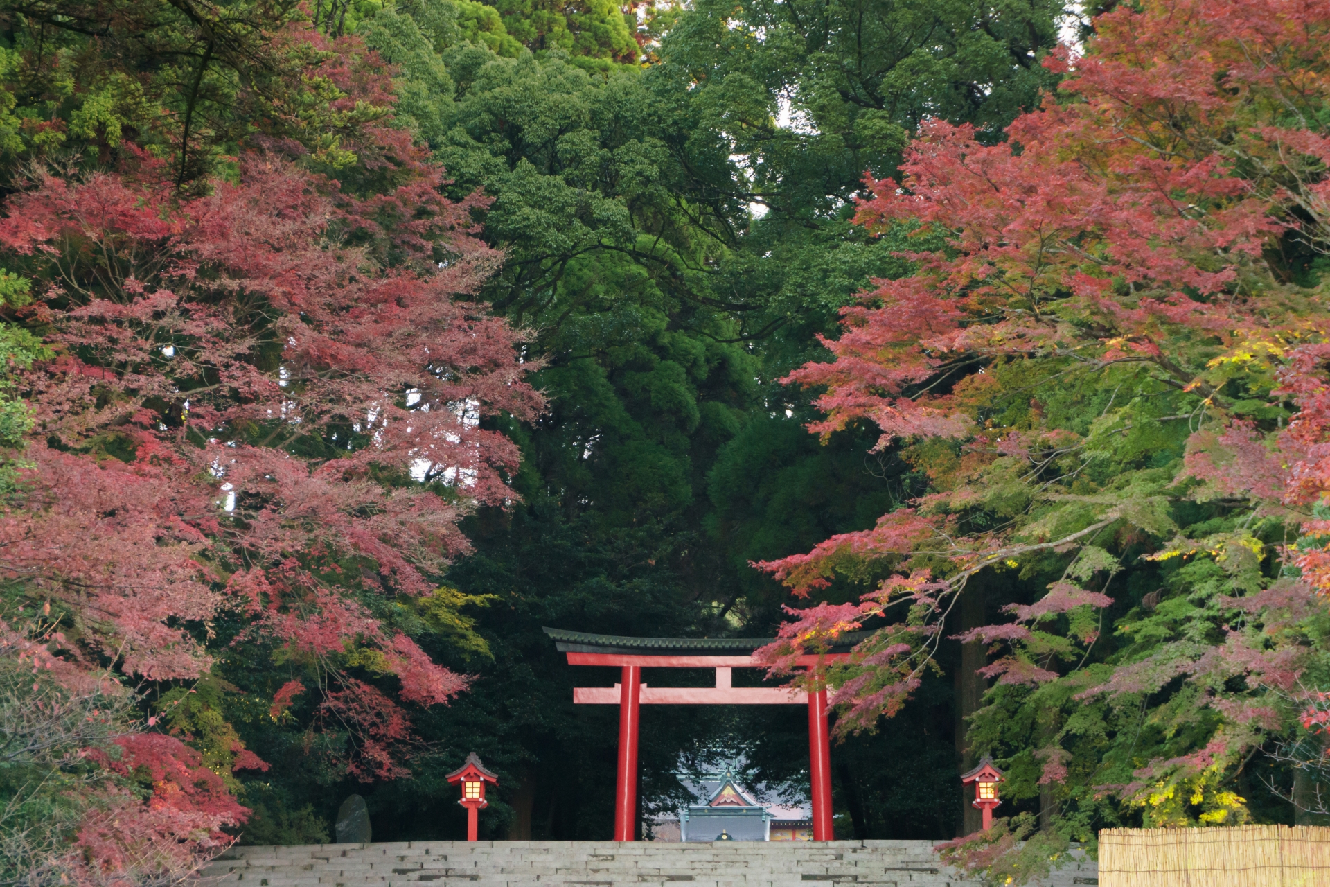 鹿児島県金運アップ神社！最強おすすめ・人気・評判の財運上昇の強力パワースポット！宝くじ当選・事業成功・借金返済・玉の輿・商売繁盛のご利益