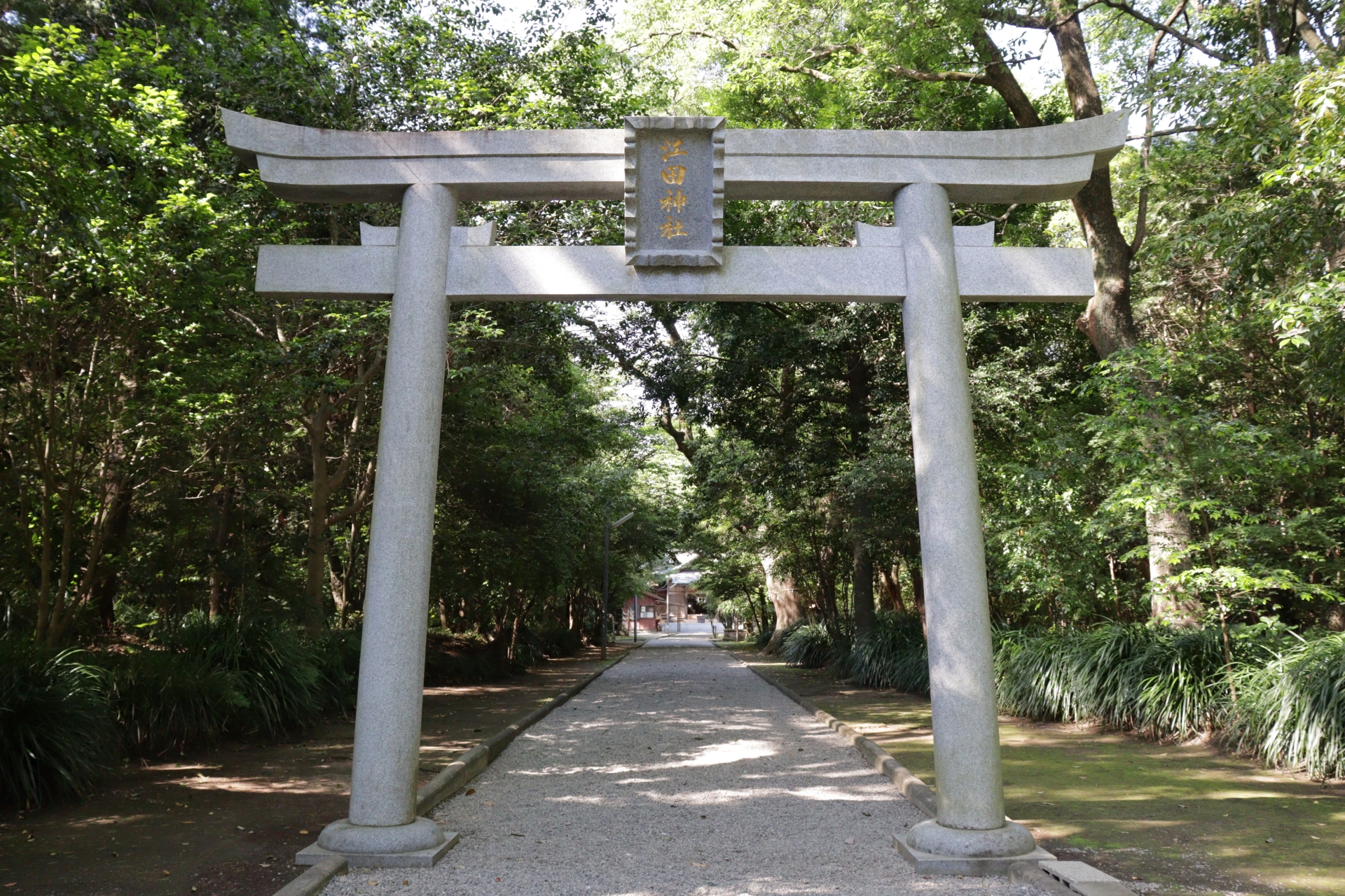 宮崎市・江田神社の感想レポート！日本三大の最強パワースポット？みそぎ池など御祭神・ご利益は？