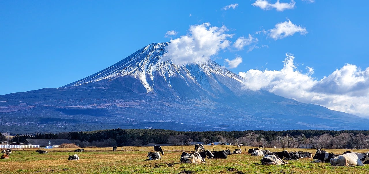 夢占いで富士山の夢の意味とは？下山、中腹、登山、登る、落ちる、崩れる、噴火、恋人、好きな人、写真、上空、遠く、綺麗などまとめ