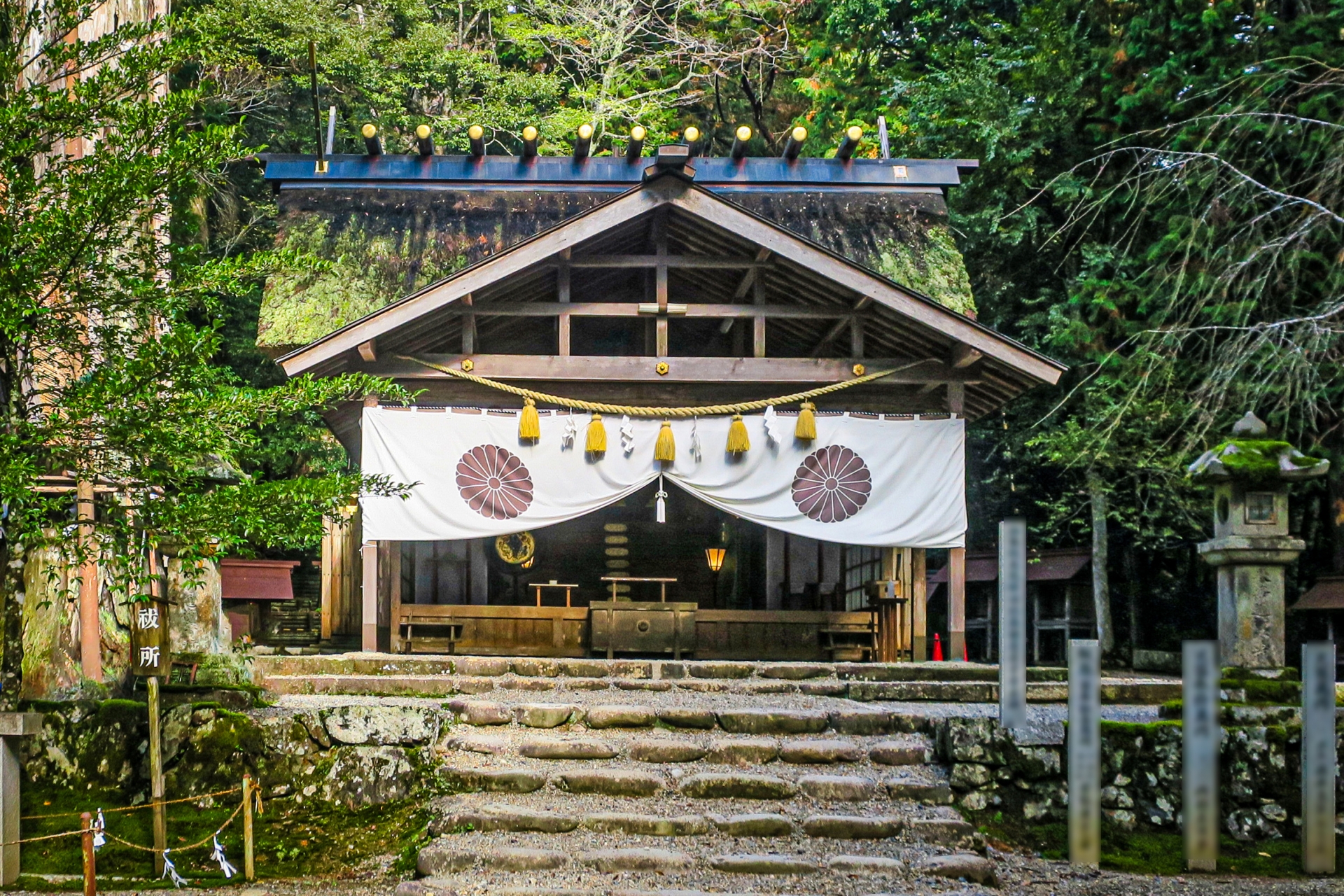 神社で写真に映る白い光のスピリチュアルな意味とメッセージ