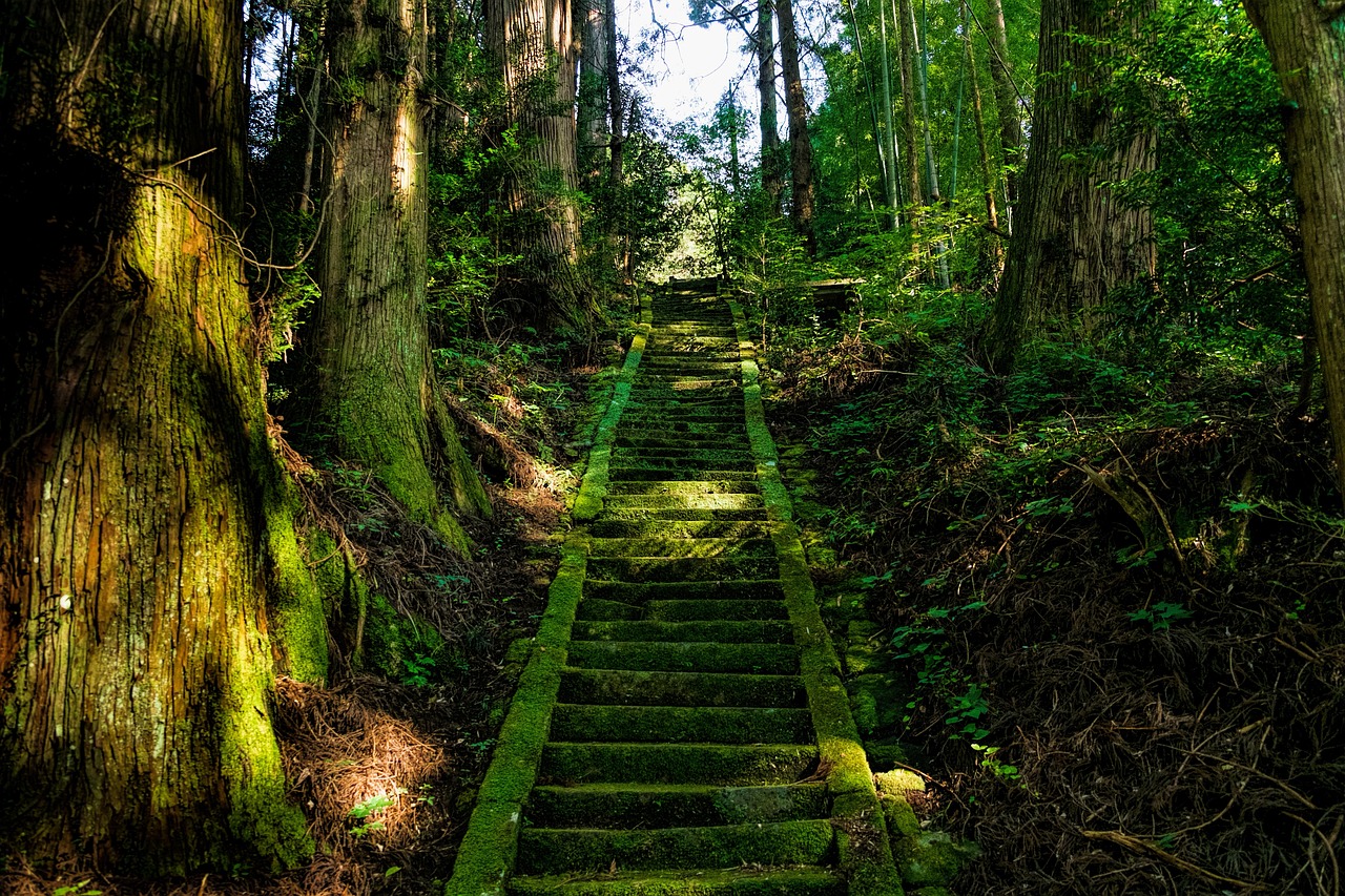 大原野神社のスピリチュアルな魅力とは？隠されたメッセージと不思議な体験