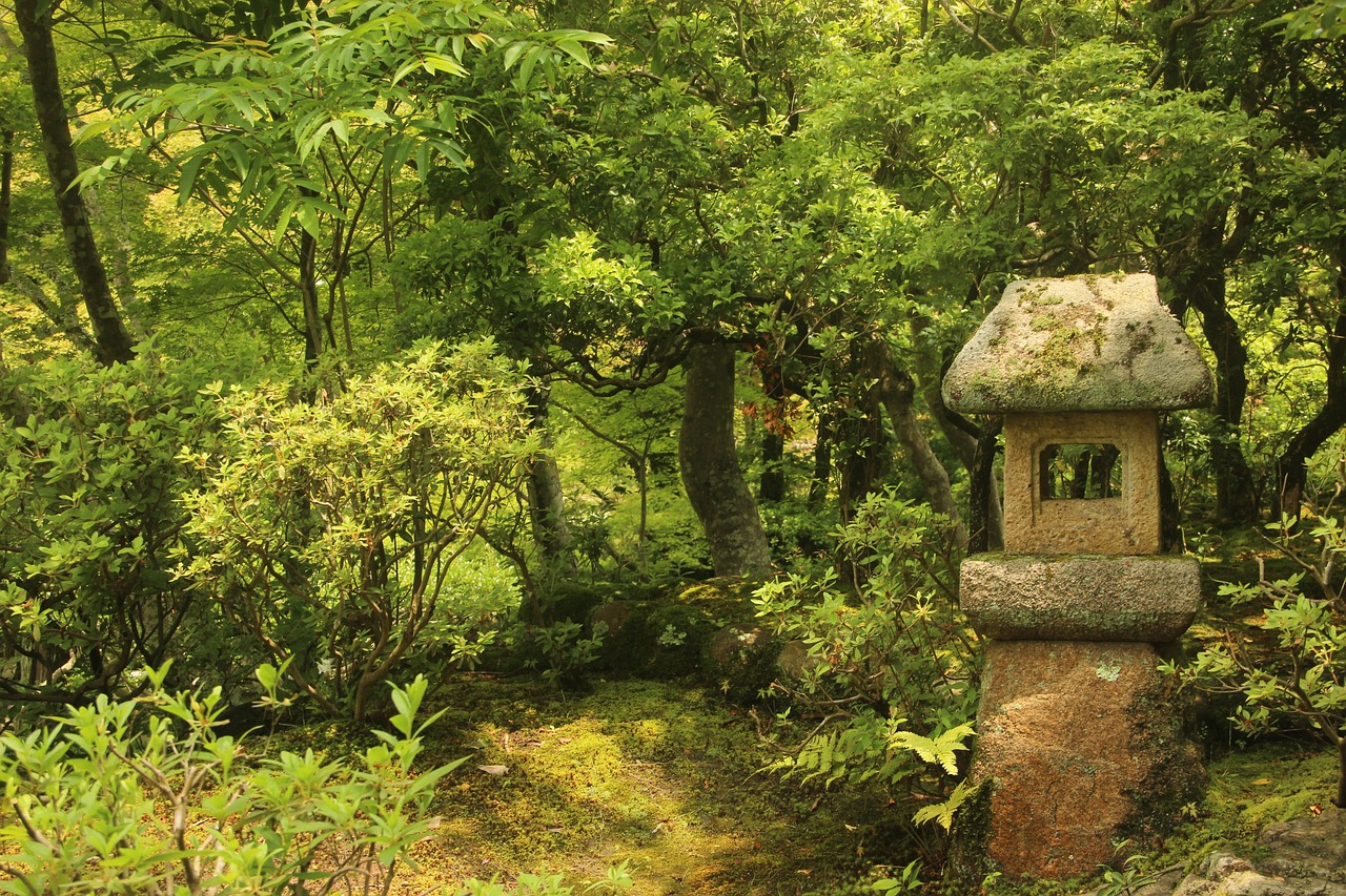 神社でドキドキする意味とは？スピリチュアルメッセージを紐解いてみました