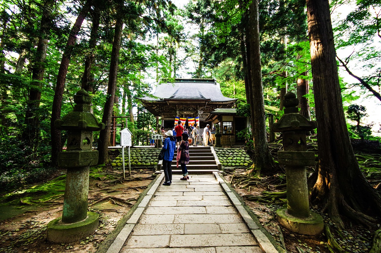 神社のきのこが持つスピリチュアルな意味とメッセージ～自然界からの神秘的なサイン～